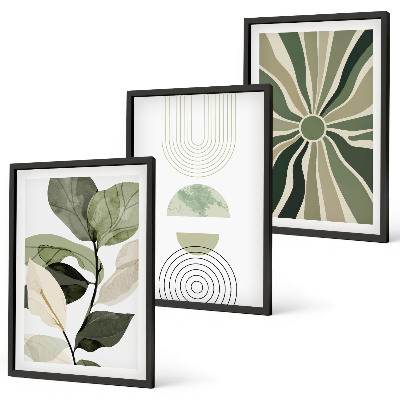 Conjunto de 3 quadros com moldura Motivos vegetais, geometria, vegetação