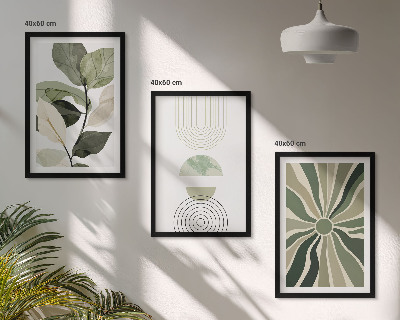 Conjunto de 3 quadros com moldura Motivos vegetais, geometria, vegetação