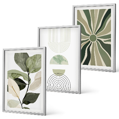 Conjunto de 3 quadros com moldura Motivos vegetais, geometria, vegetação