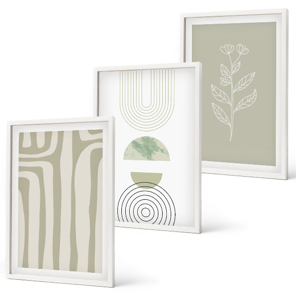 Conjunto de quadros para sala de estar padrões geométricos de plantas