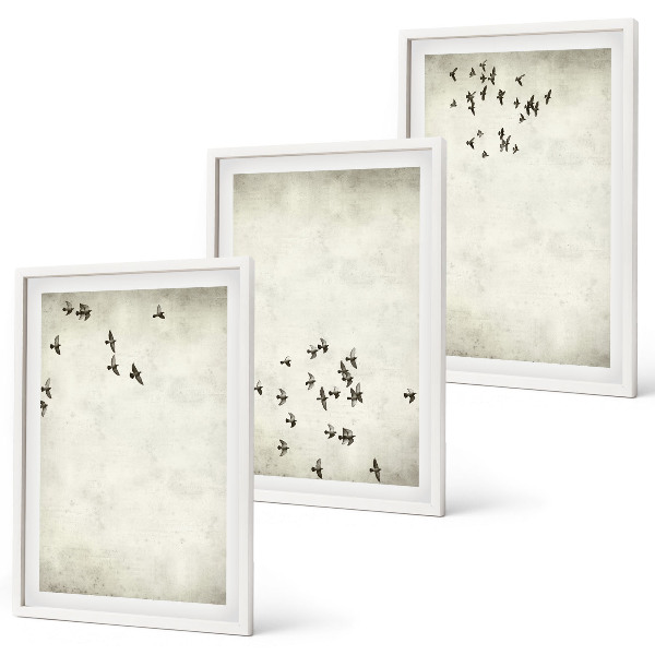 Conjunto de 3 quadros com moldura Pintura minimalista de pássaro