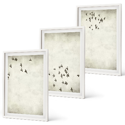 Conjunto de 3 quadros com moldura Pintura minimalista de pássaro