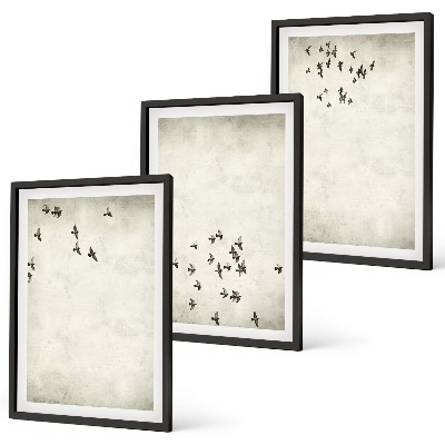 Conjunto de 3 quadros com moldura Pintura minimalista de pássaro