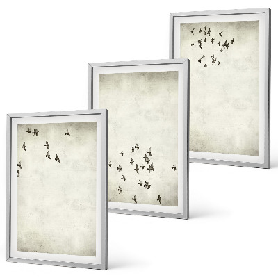 Conjunto de 3 quadros com moldura Pintura minimalista de pássaro