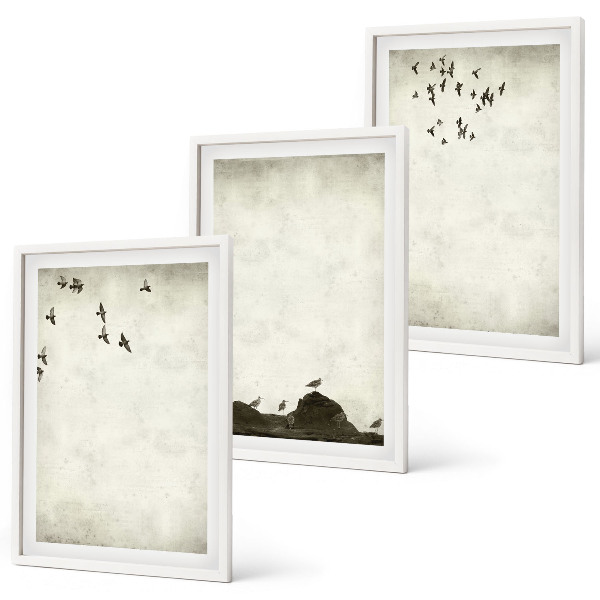 Conjunto de quadros para sala de estar Minimalismo de pássaros voando