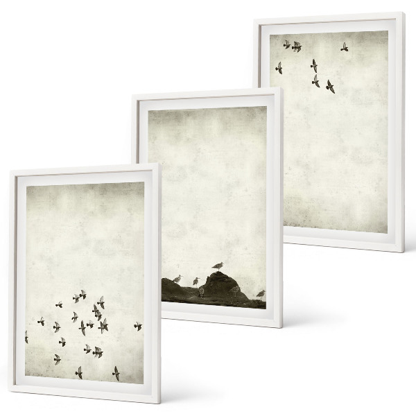 Composição de quadros moderna Pássaros em voo em estilo minimalista