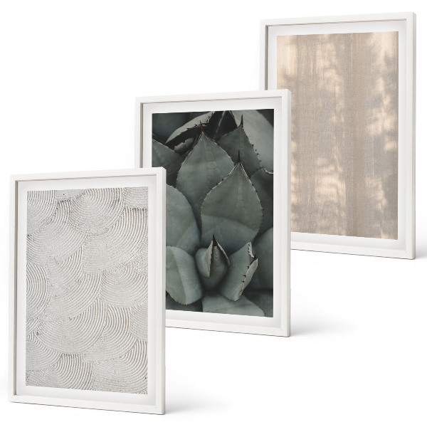 Conjunto de quadros para sala de estar Texturas tropicais de verão
