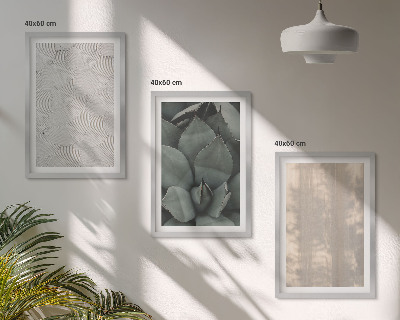 Conjunto de quadros para sala de estar Texturas tropicais de verão