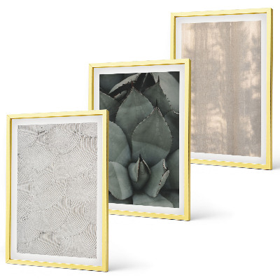 Conjunto de quadros para sala de estar Texturas tropicais de verão