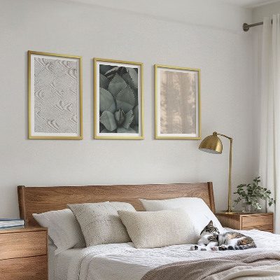 Conjunto de quadros para sala de estar Texturas tropicais de verão