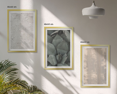 Conjunto de quadros para sala de estar Texturas tropicais de verão