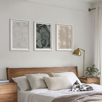 Conjunto de quadros para sala de estar Texturas tropicais de verão