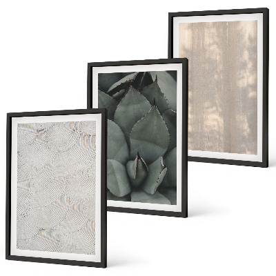 Conjunto de quadros para sala de estar Texturas tropicais de verão