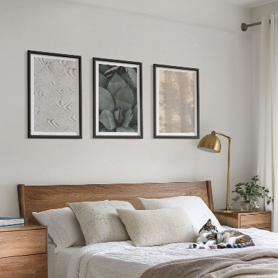 Conjunto de quadros para sala de estar Texturas tropicais de verão