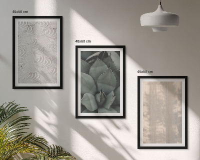 Conjunto de quadros para sala de estar Texturas tropicais de verão