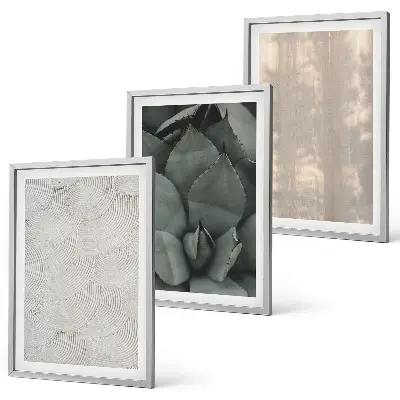 Conjunto de quadros para sala de estar com texturas tropicais de verão