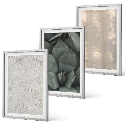 Conjunto de quadros para sala de estar Texturas tropicais de verão