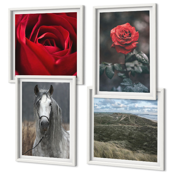 Conjunto de 4 quadros com moldura Rosas vermelhas, cavalo, fundo cinza