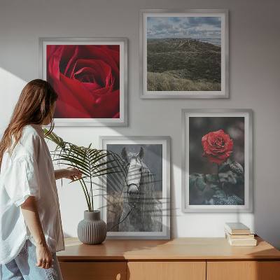 Conjunto de 4 quadros com moldura Rosas vermelhas, cavalo, fundo cinza