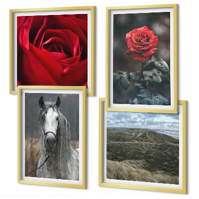 Conjunto de 4 quadros com moldura Rosas vermelhas, cavalo, fundo cinza