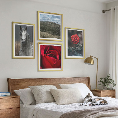 Conjunto de 4 quadros com moldura Rosas vermelhas, cavalo, fundo cinza