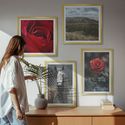 Conjunto de 4 quadros com moldura Rosas vermelhas, cavalo, fundo cinza