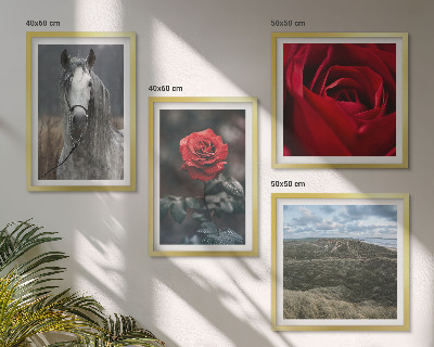 Conjunto de 4 quadros com moldura Rosas vermelhas, cavalo, fundo cinza