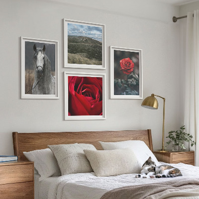 Conjunto de 4 quadros com moldura Rosas vermelhas, cavalo, fundo cinza