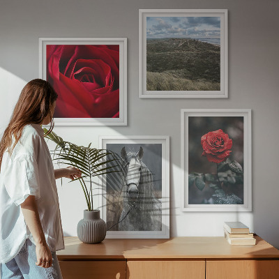 Conjunto de 4 quadros com moldura Rosas vermelhas, cavalo, fundo cinza