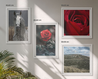 Conjunto de 4 quadros com moldura Rosas vermelhas, cavalo, fundo cinza