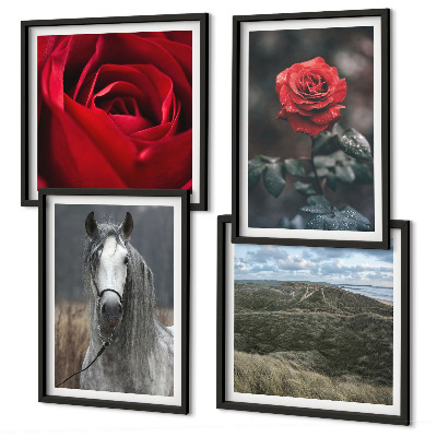 Conjunto de 4 quadros com moldura Rosas vermelhas, cavalo, fundo cinza