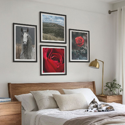 Conjunto de 4 quadros com moldura Rosas vermelhas, cavalo, fundo cinza