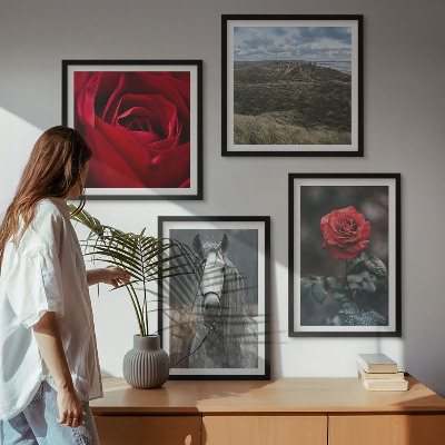 Conjunto de 4 quadros com moldura Rosas vermelhas, cavalo, fundo cinza