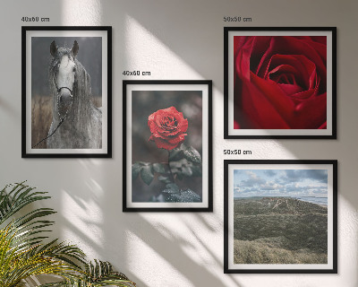 Conjunto de 4 quadros com moldura Rosas vermelhas, cavalo, fundo cinza