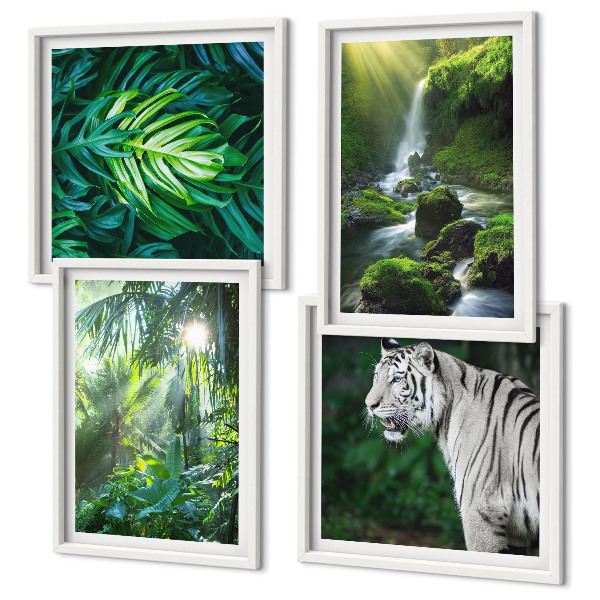 Conjunto de 4 quadros com moldura Cachoeira do Tigre Branco na Selva