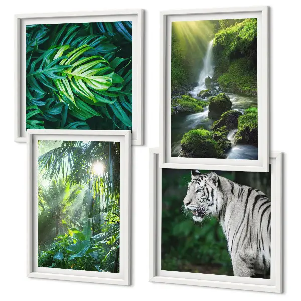 Conjunto de 4 quadros com moldura estampa de cachoeira do tigre branco na selva