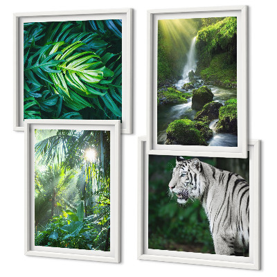 Conjunto de 4 quadros com moldura Cachoeira do Tigre Branco na Selva