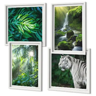 Conjunto de 4 quadros com moldura estampa de cachoeira do tigre branco na selva