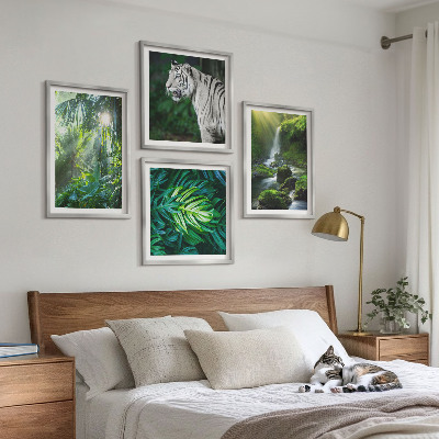 Conjunto de 4 quadros com moldura Cachoeira do Tigre Branco na Selva