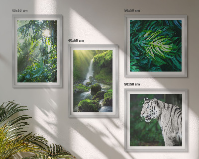 Conjunto de 4 quadros com moldura Cachoeira do Tigre Branco na Selva