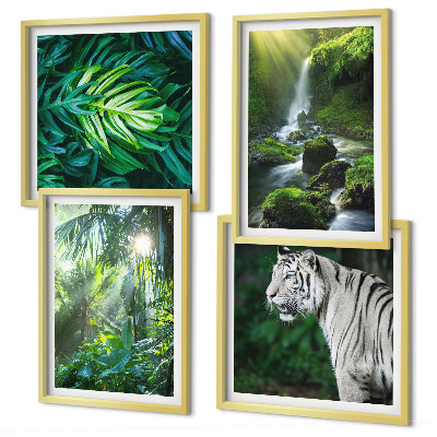 Conjunto de 4 quadros com moldura Cachoeira do Tigre Branco na Selva
