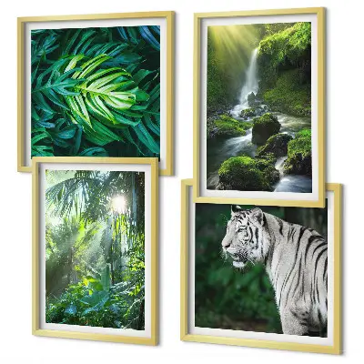 Conjunto de 4 quadros com moldura estampa de cachoeira do tigre branco na selva