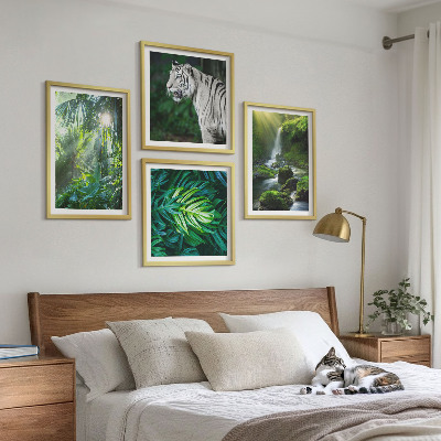 Conjunto de 4 quadros com moldura Cachoeira do Tigre Branco na Selva