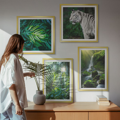 Conjunto de 4 quadros com moldura Cachoeira do Tigre Branco na Selva