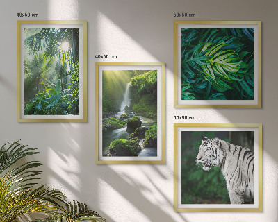 Conjunto de 4 quadros com moldura Cachoeira do Tigre Branco na Selva