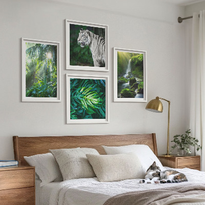 Conjunto de 4 quadros com moldura Cachoeira do Tigre Branco na Selva