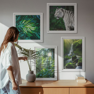 Conjunto de 4 quadros com moldura Cachoeira do Tigre Branco na Selva