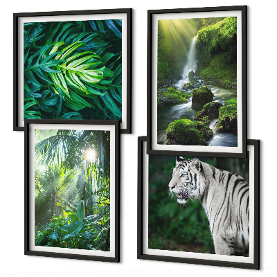 Conjunto de 4 quadros com moldura Cachoeira do Tigre Branco na Selva