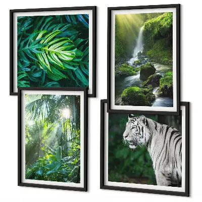 Conjunto de 4 quadros com moldura estampa de cachoeira do tigre branco na selva