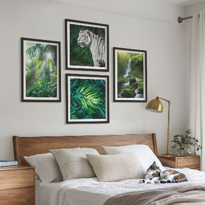 Conjunto de 4 quadros com moldura Cachoeira do Tigre Branco na Selva